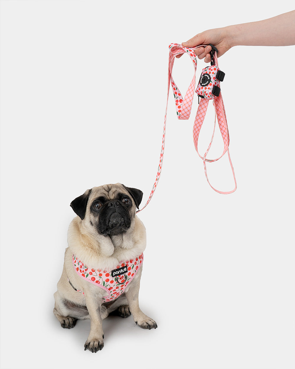 Druckfreies Hundegeschirr Kirschen CHERRY PUP