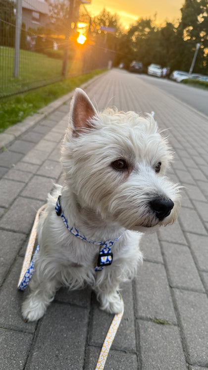 Gesichter in Pantuti