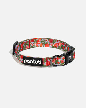 Hundehalsband Erdbeere BERRY