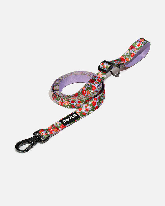 Verstellbare Hundeleine Erdbeere BERRY