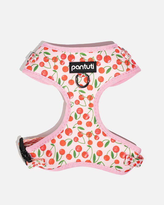 Druckfreies Hundegeschirr Kirschen CHERRY PUP