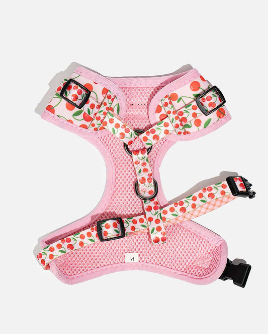 Druckfreies Hundegeschirr Kirschen CHERRY PUP