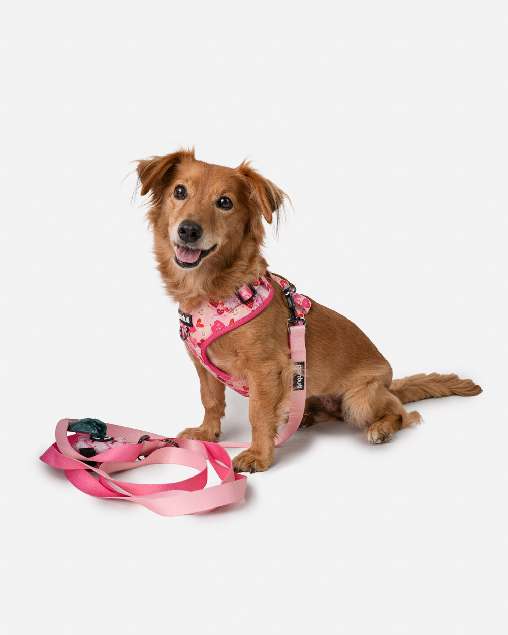 Druckfreies Hundegeschirr mit Herzen AMORE