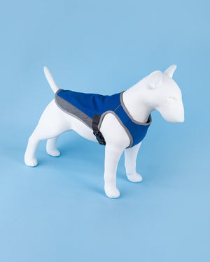 Hundekühlweste BECOOL