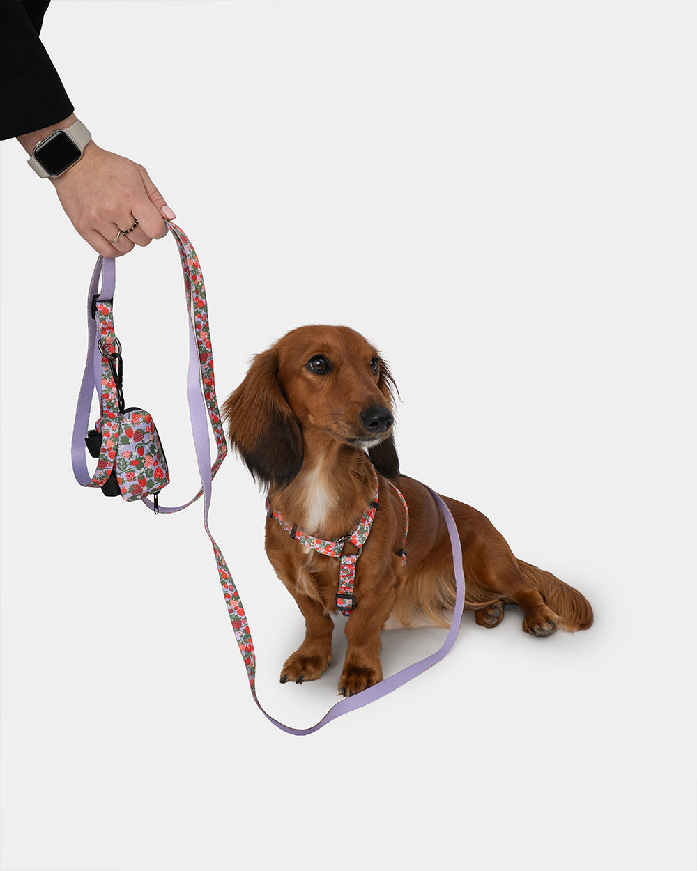 Kotbeutelhalter für Hunde mit Erdbeer-Muster BERRY