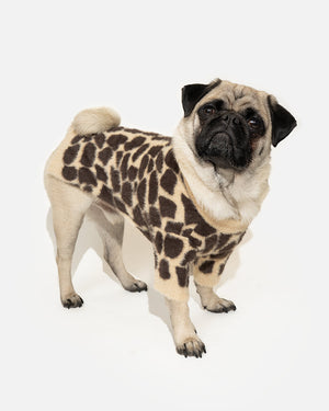 Warmer, elastischer Hundepullover mit Leopardenmuster BREGO