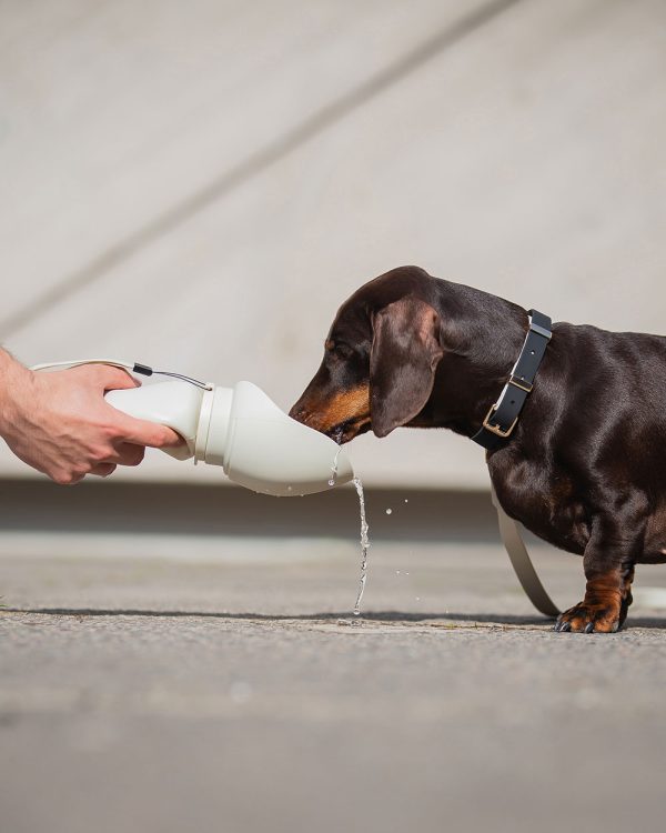 Faltbare Hundetrinkflasche "MONTE" Tragbare Haustier Wassernapf für Outdoor-Aktivitäten