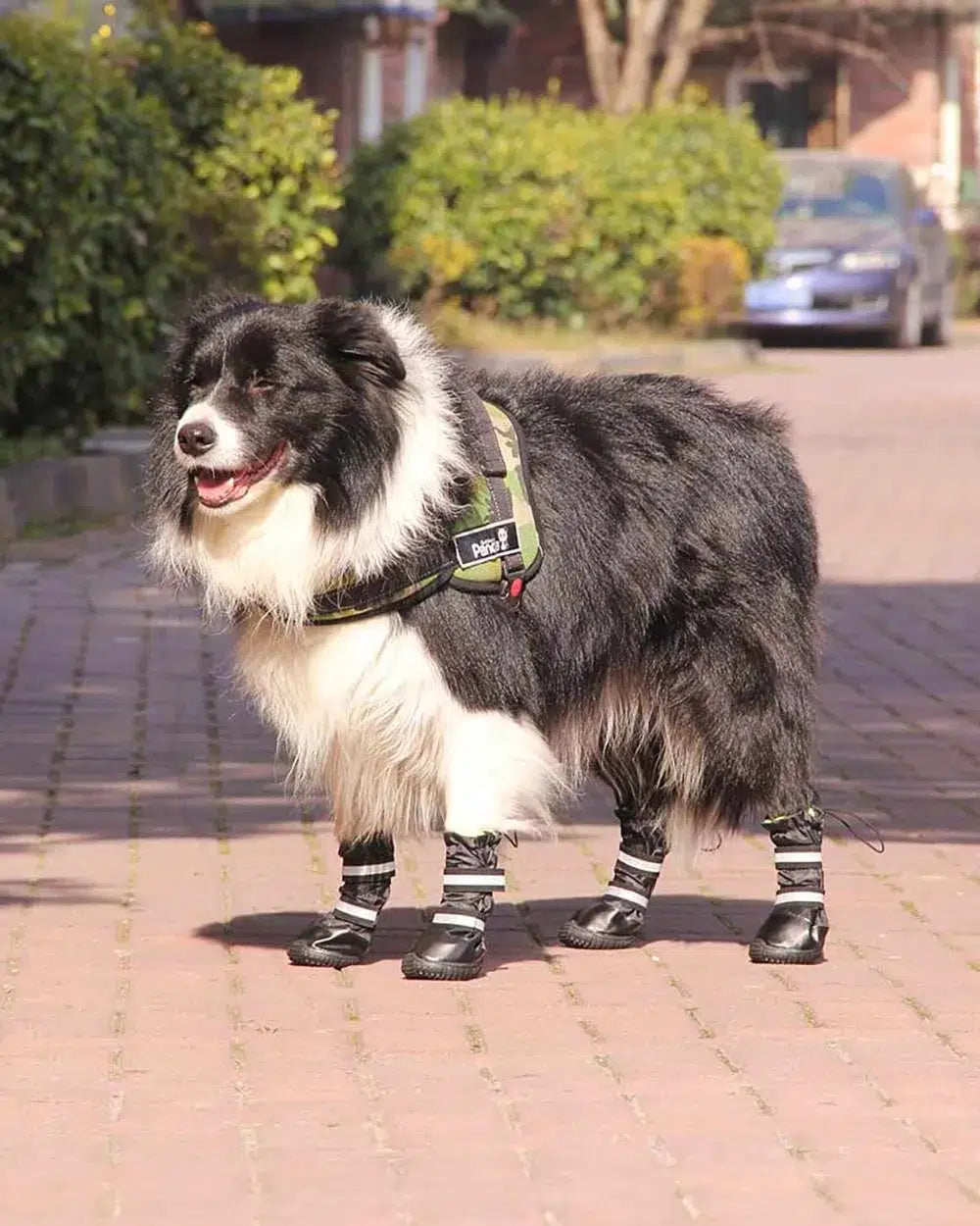 Wytrzymałe woodporne ocieplane wysokie buty dla dużego psa Eliot