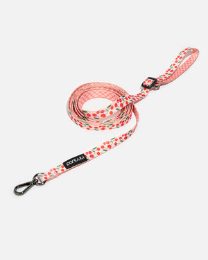 Verstellbare Hundeleine Kirschen CHERRY PUP
