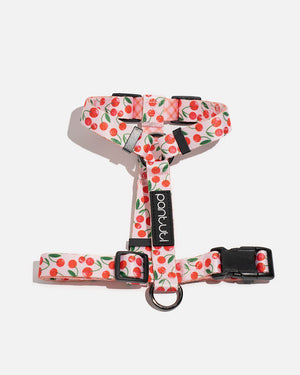 Hundegeschirr Guard für Hunde in Kirschdesign CHERRY PUP