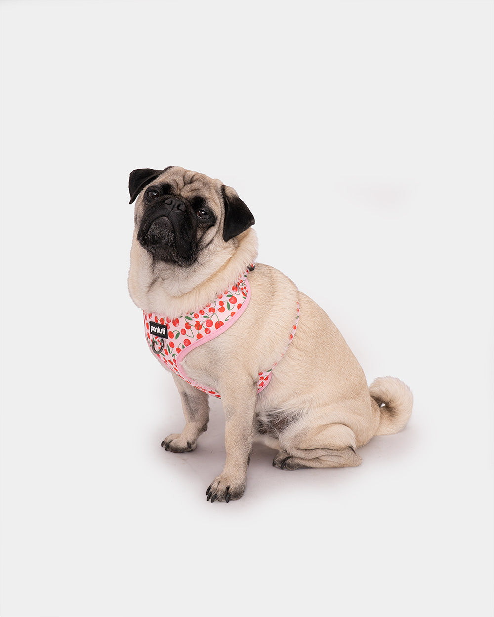 Druckfreies Hundegeschirr Kirschen CHERRY PUP