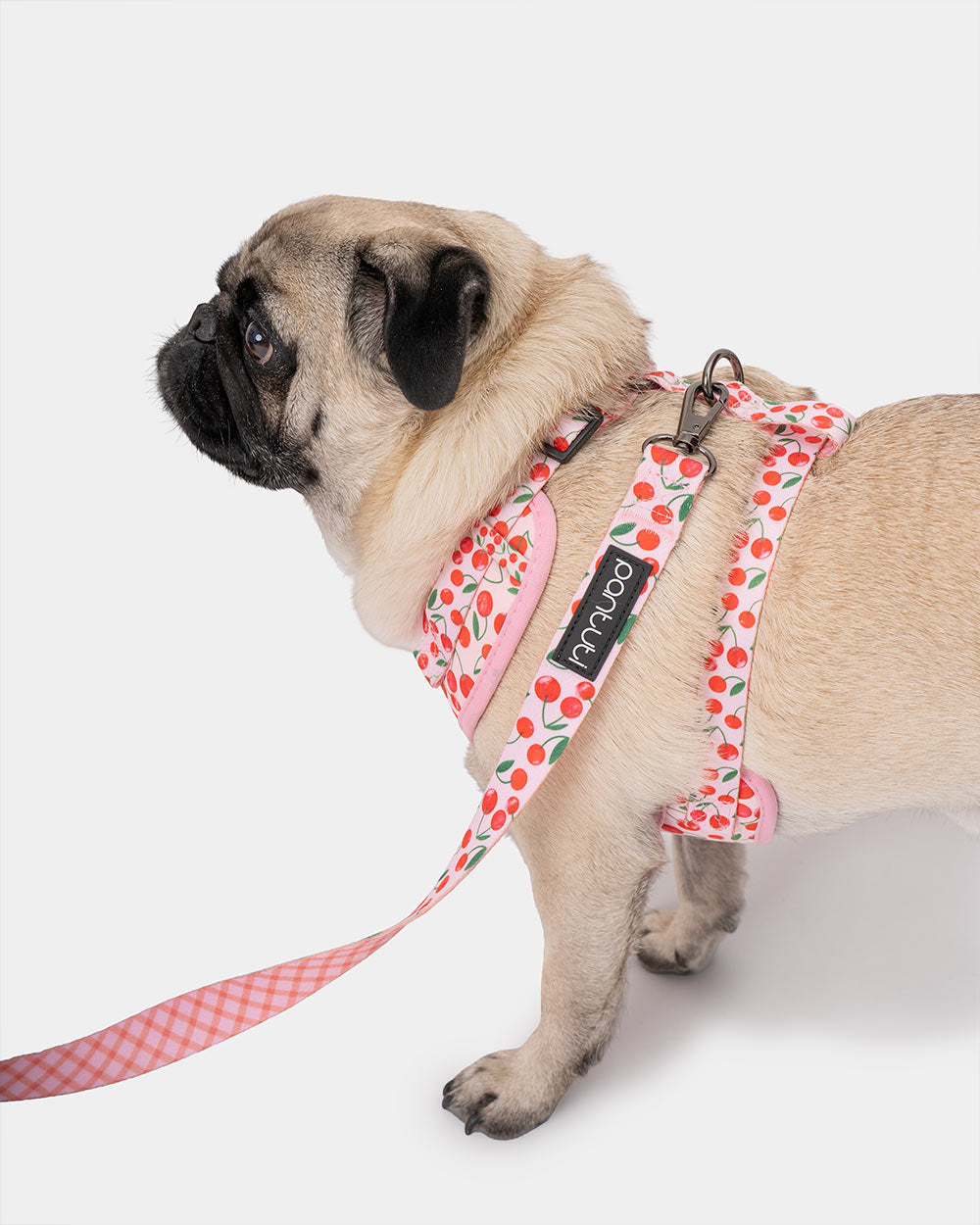 Druckfreies Hundegeschirr Kirschen CHERRY PUP