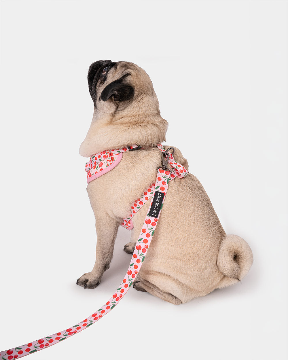 Druckfreies Hundegeschirr Kirschen CHERRY PUP