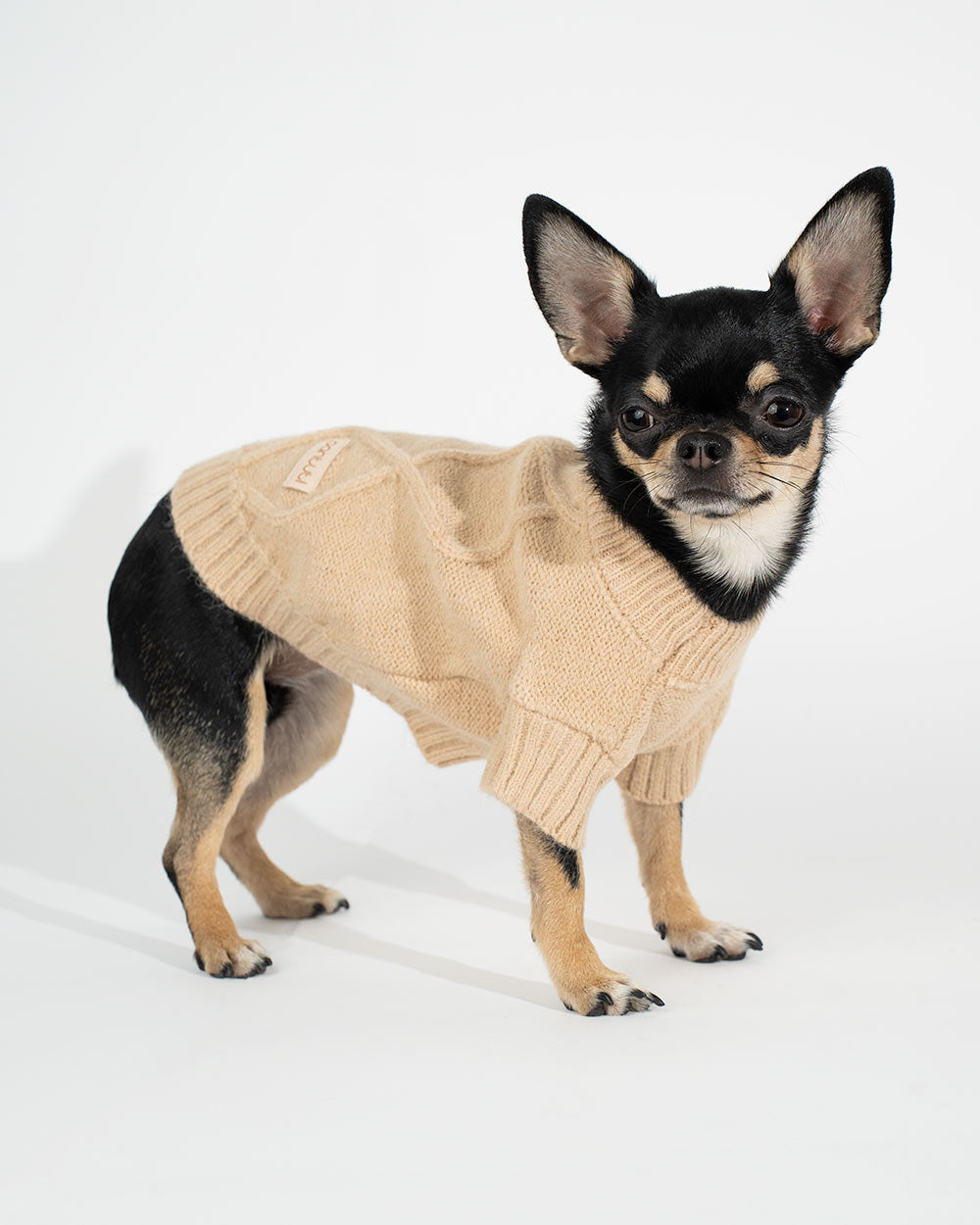 Ciepły elastyczny sweter dla psa JANIS