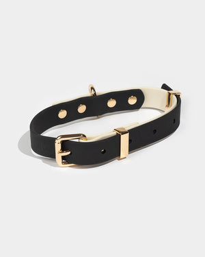 Minimalistisches Hundehalsband FARO