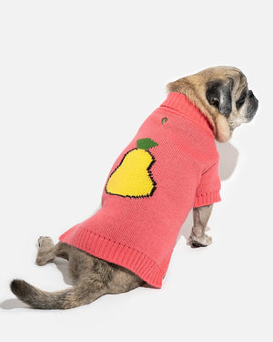 Der kultige Hundepullover GRUCHA