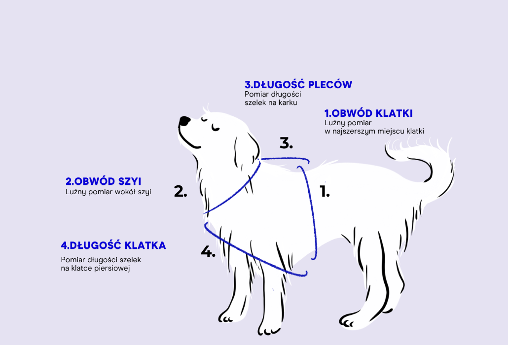 Szelki bezuciskowe +/- 2cm - measurement guide