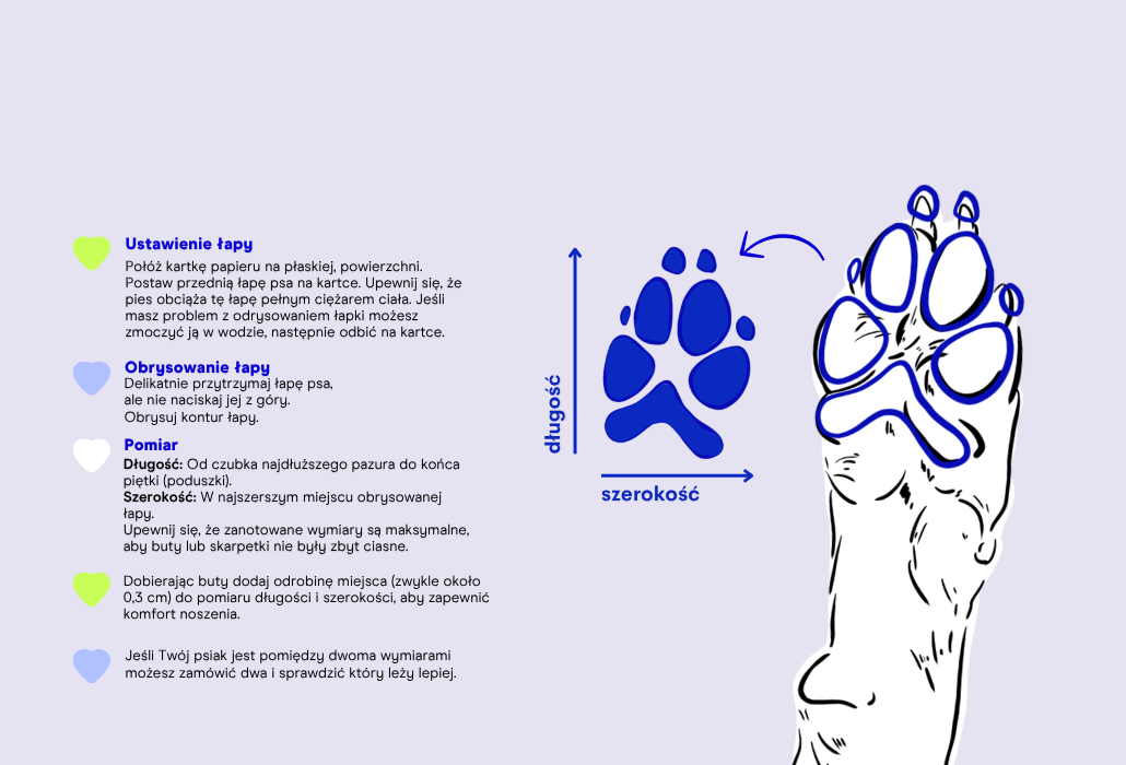 Buty ELIOT  +/- 2 cm - measurement guide