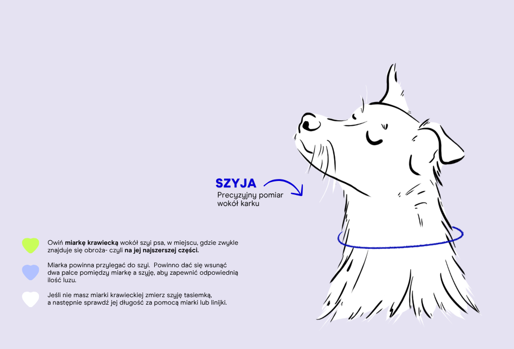 Bandana +/- 2 cm - measurement guide