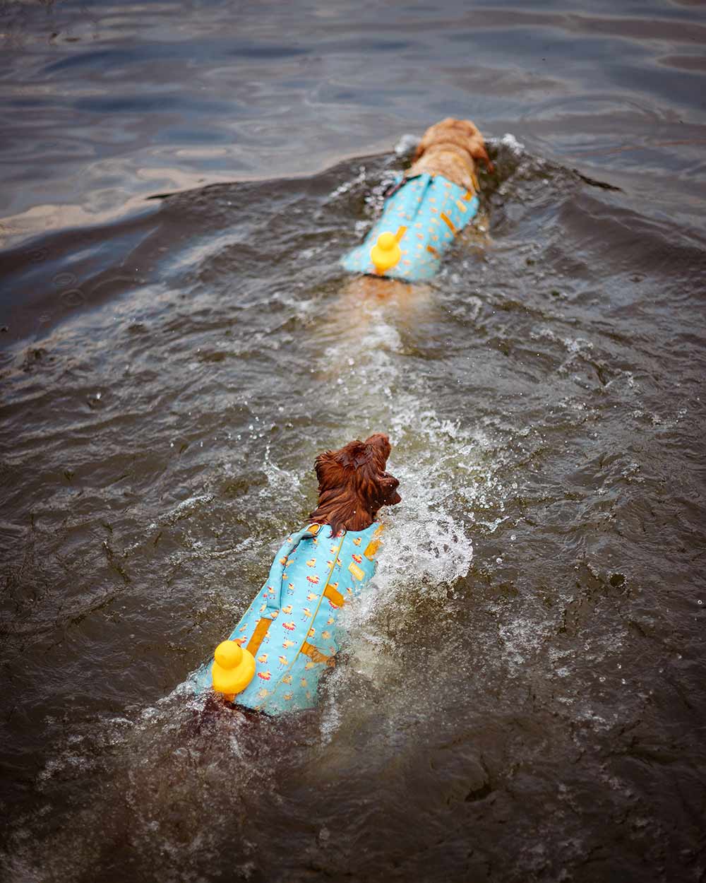 Uroczy kapok dla psa z gumową kaczuszką DOGGY DUCK
