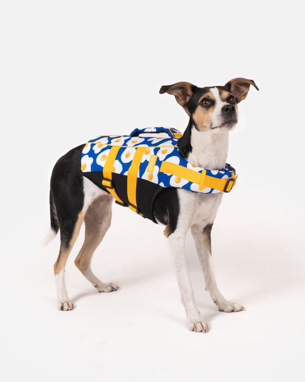 Hundeschwimmweste "DOGGY EGG" – mit Griff & Reflex, Größen S–XL