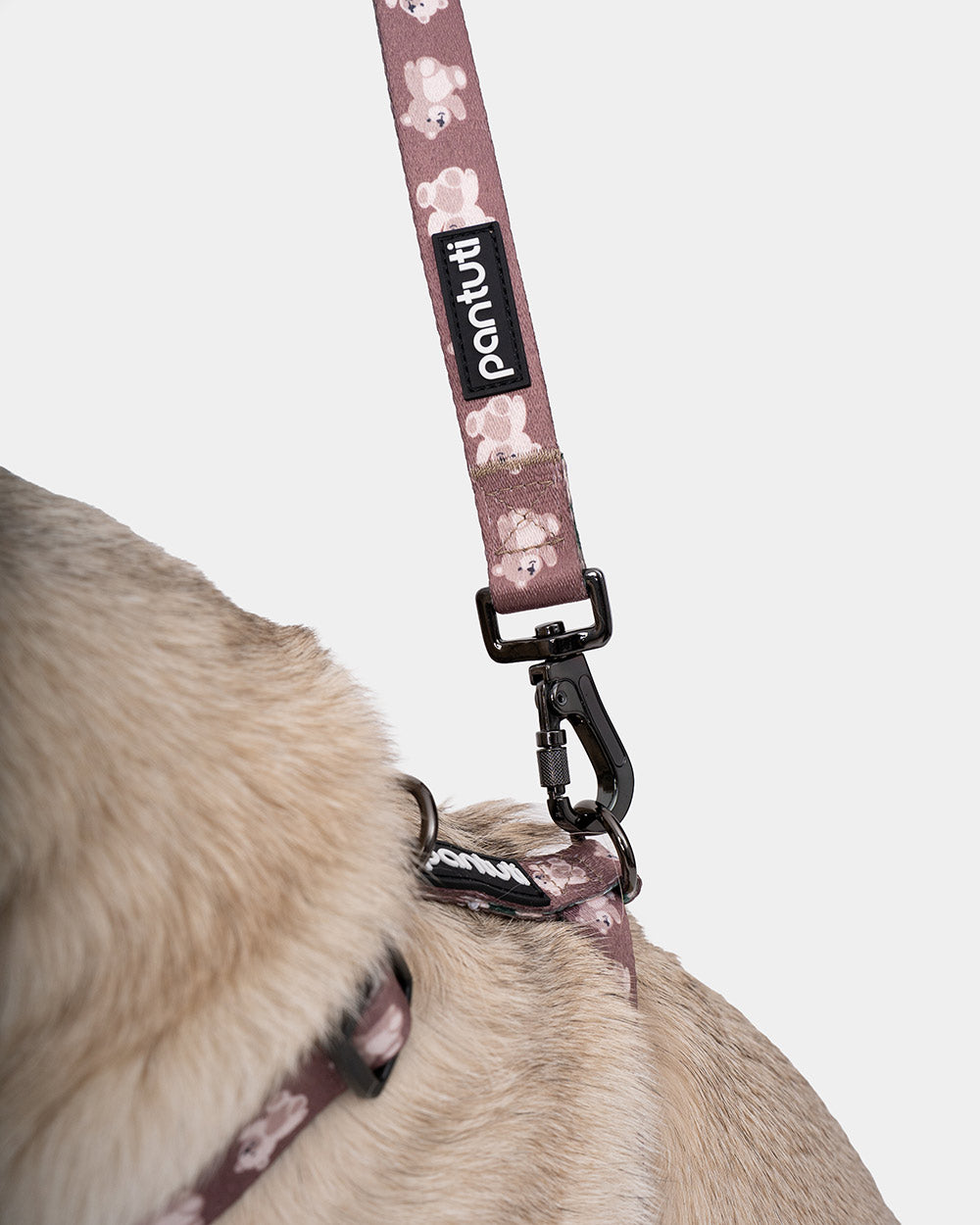 Hundegeschirr Guard für Hunde der Rasse KIDO