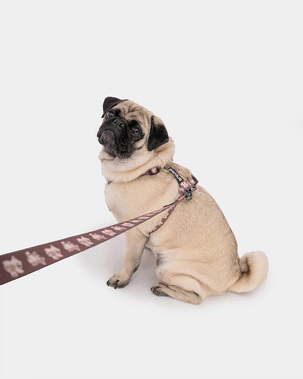 Hundegeschirr Guard für Hunde der Rasse KIDO