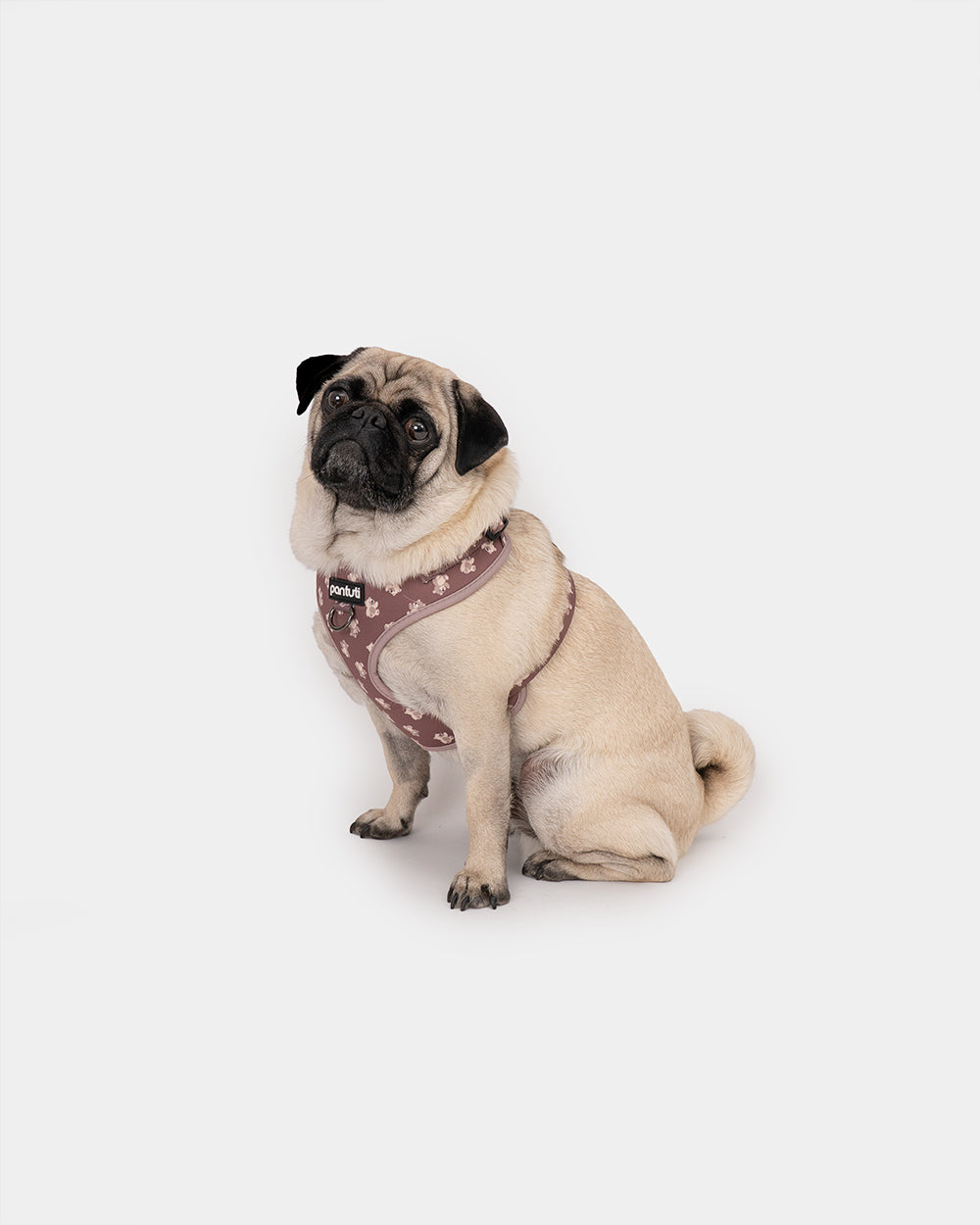 KIDO Hundegeschirr druckfrei mit Bärchen-Motiv