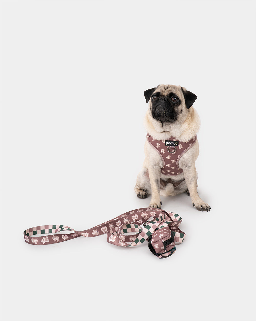 KIDO Hundegeschirr druckfrei mit Bärchen-Motiv