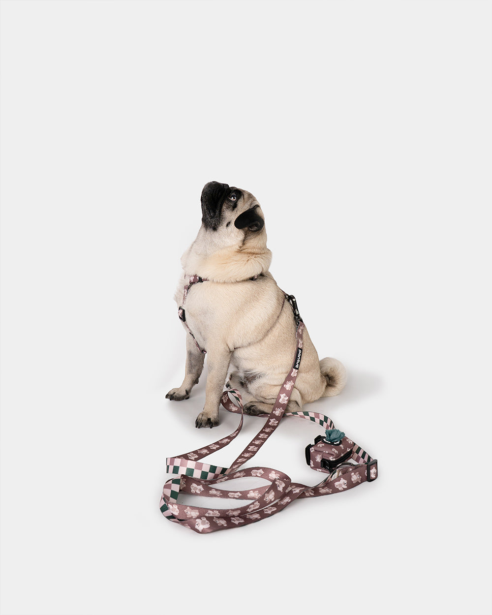 KIDO Hülle für Hundekotbeutel im Bären-Design
