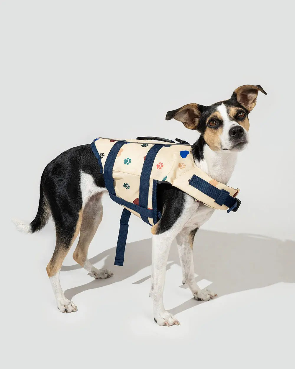 Hundeschwimmweste "MANILA" – mit Griff & Reflex, Größen XS–XL