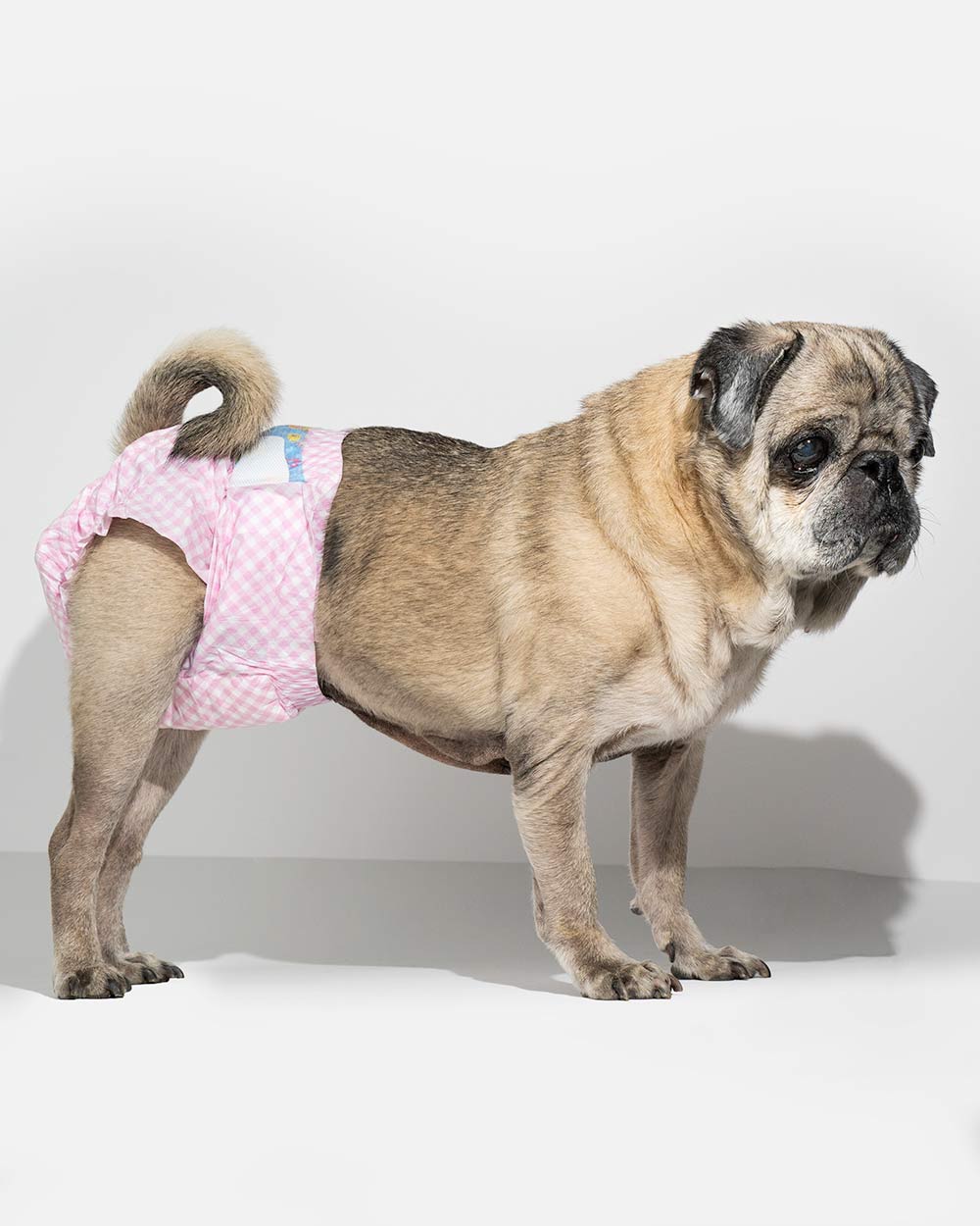 Chłonne pieluchy dla suczki PUPPERS CLASSIC