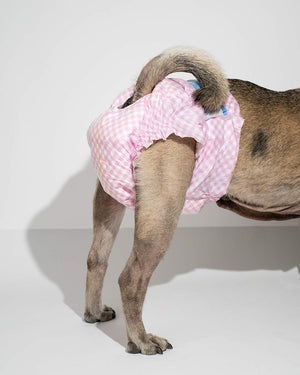 Saugfähige Hundewindeln für Hündinnen PUPPERS CLASSIC