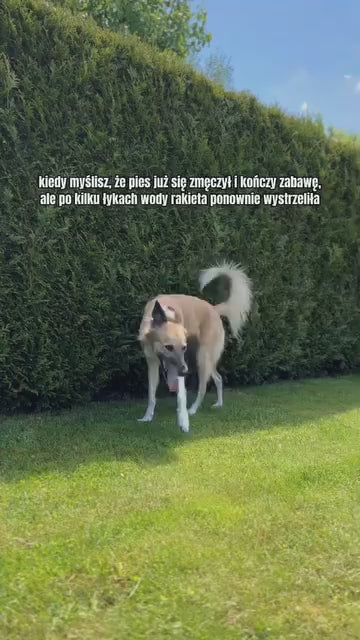 Zusammenklappbare Silikon-Trinkflasche MONTE für Hunde und Katzen