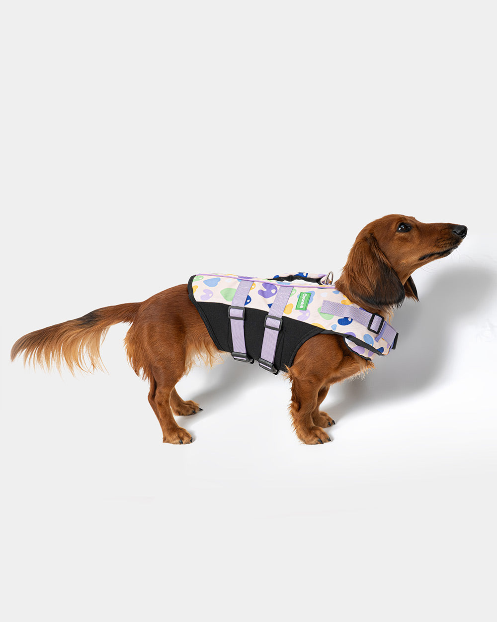 Hundekapok TUTI
