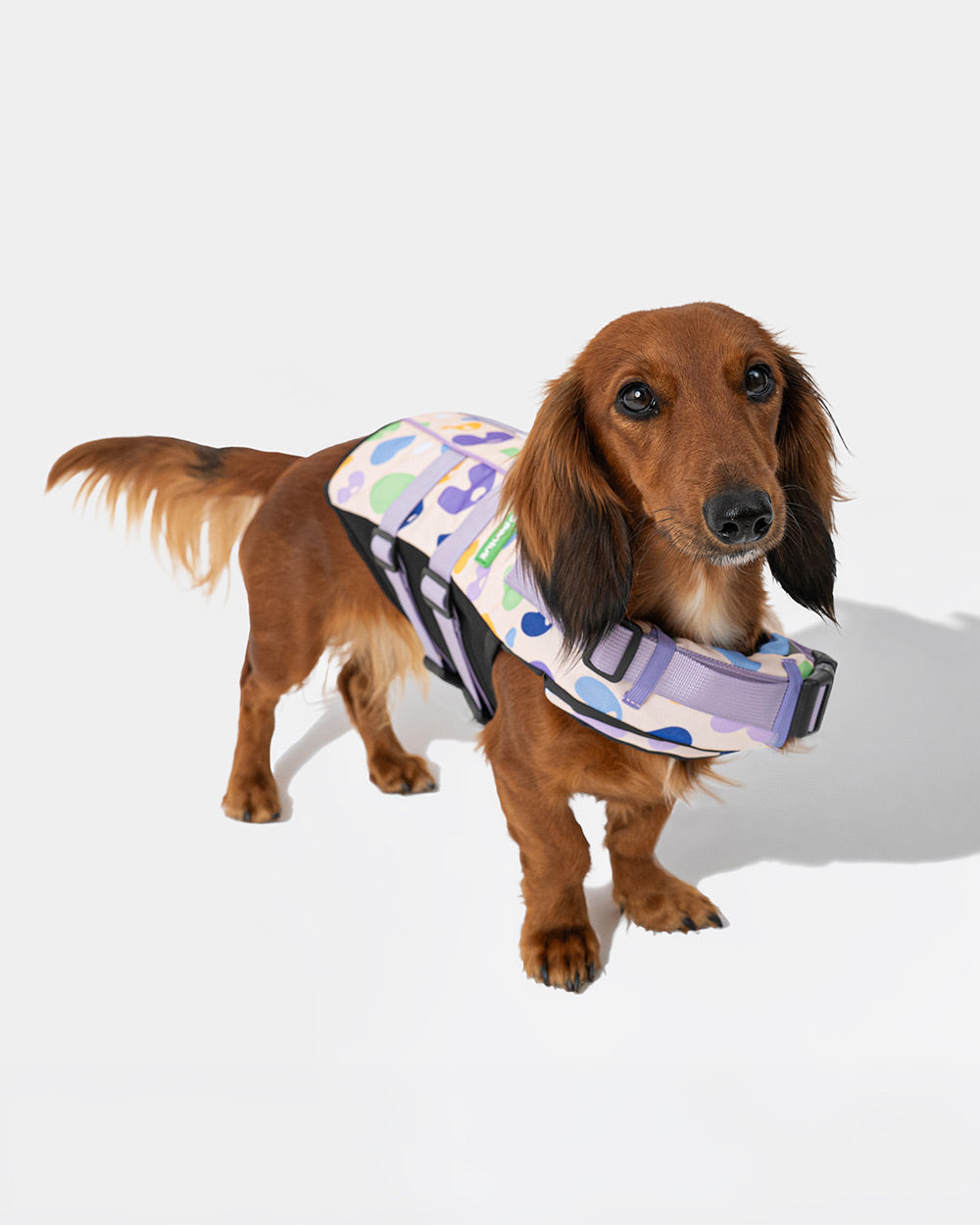 Hundekapok TUTI