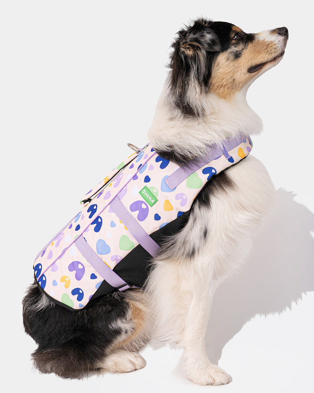Hundekapok TUTI